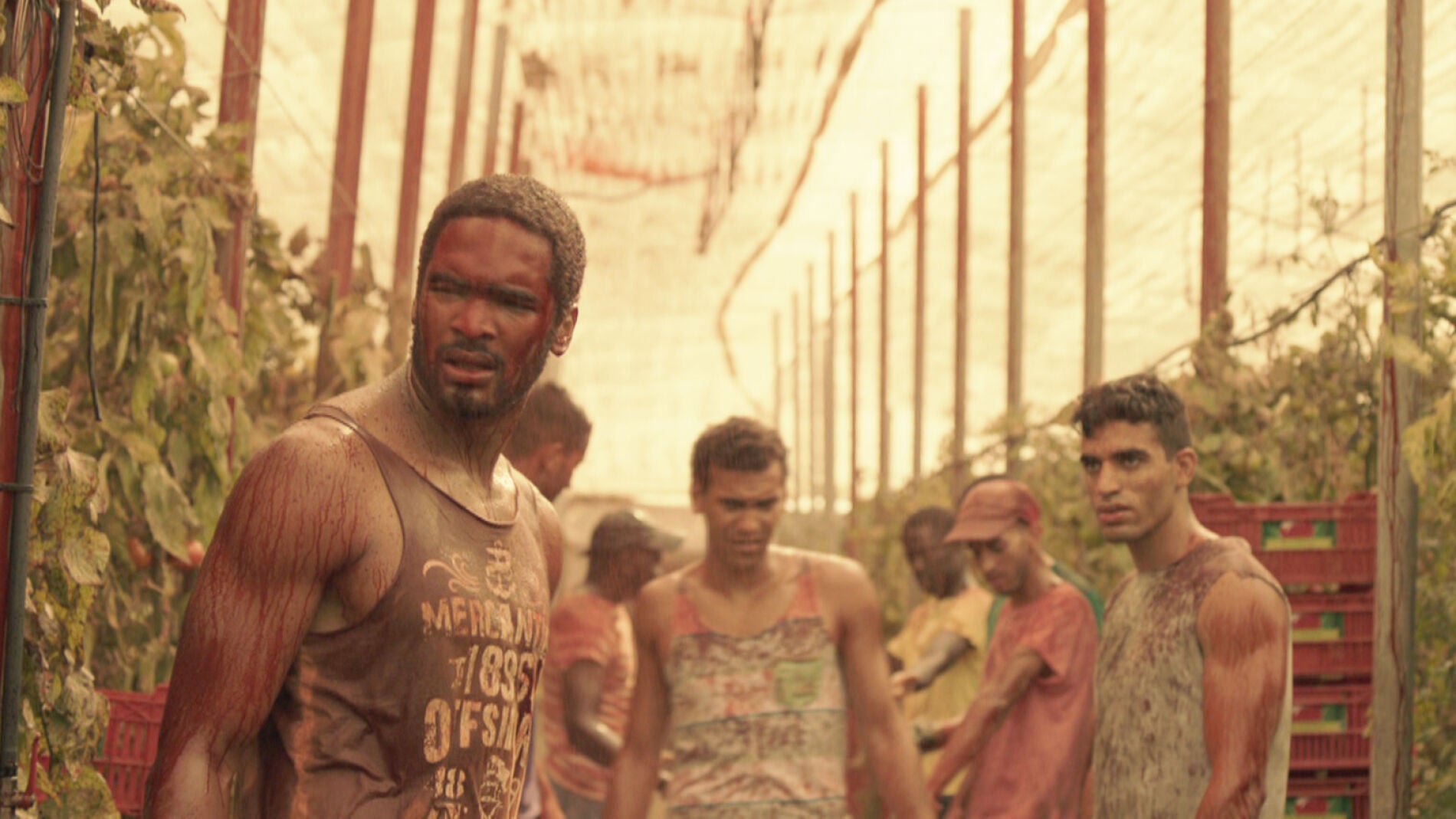 Kaled en 'Mar de pl&aacute;stico'