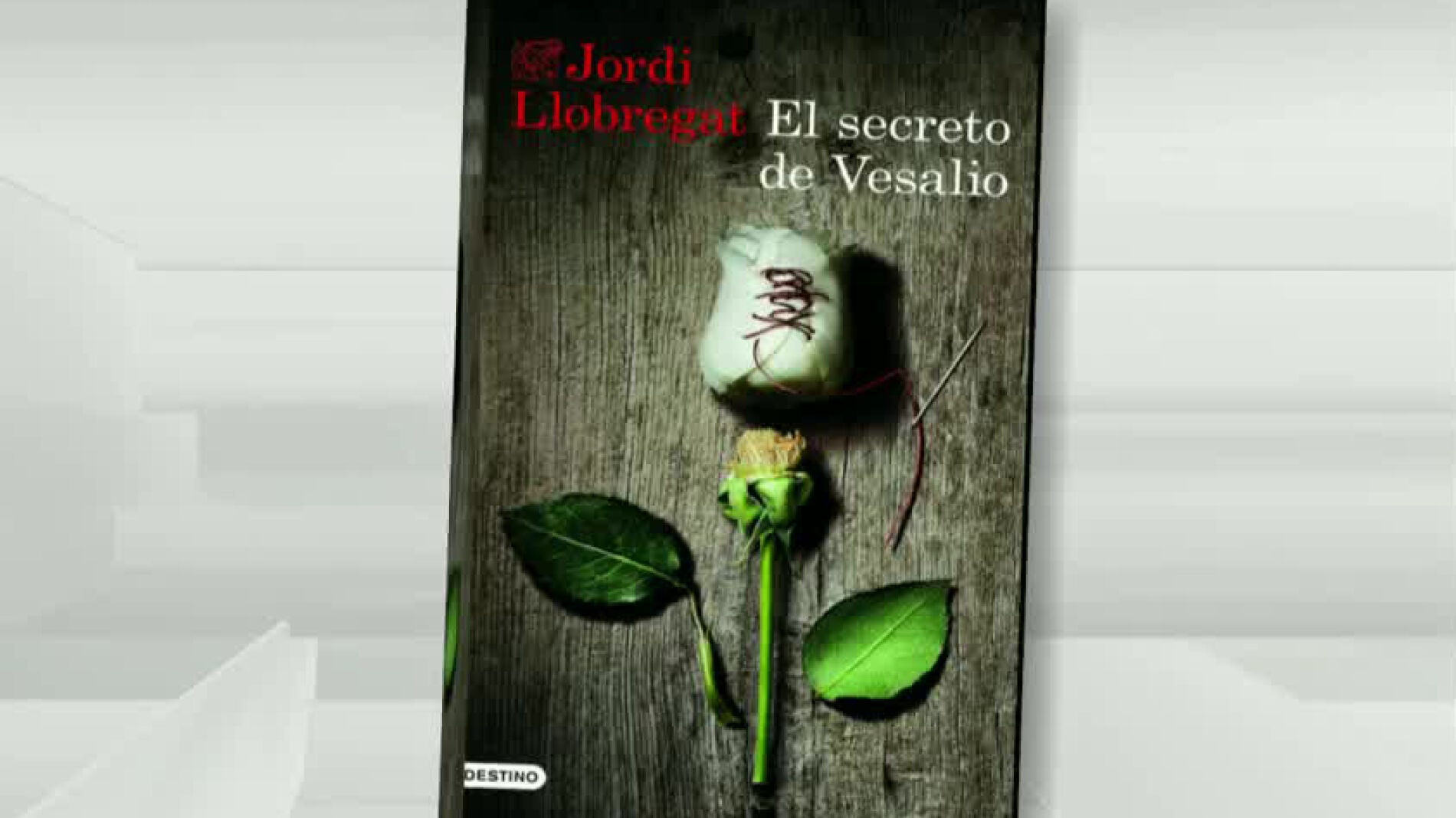 Recomendaciones Literarias