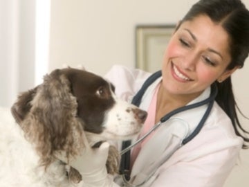 Una doctora con un perro Una doctora con un perro