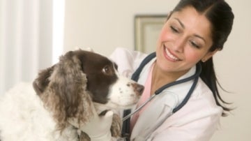 Una doctora con un perro