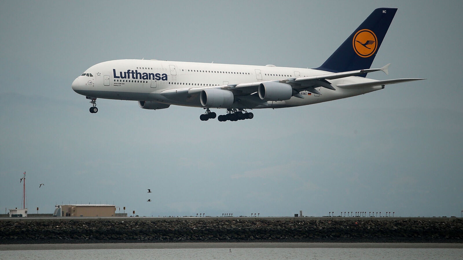 Alemania rescata a la aerolínea Lufthansa con un paquete de ayudas de 9.000 millones de euros
