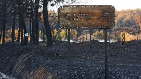 Estabilizado el incendio