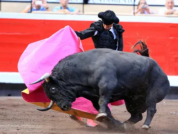 El matador José Maria Manzanares da un pase de capote con su primer toro en la Feria de Bilbao El matador José Maria Manzanares da un pase de capote con su primer toro en la Feria de Bilbao