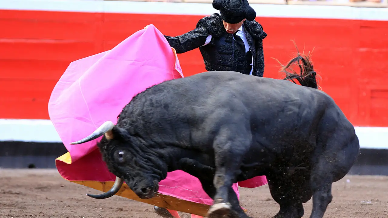 El matador José Maria Manzanares da un pase de capote con su primer toro en la Feria de Bilbao