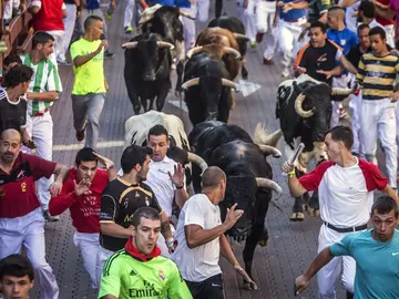 Los novillos se hacen con Sanse Los novillos se hacen con Sanse
