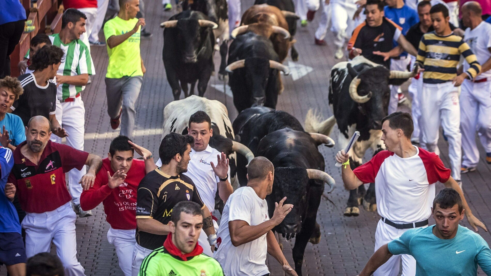 Los novillos se hacen con Sanse