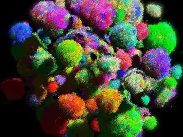 La evolución del cáncer en 3D La evolución del cáncer en 3D