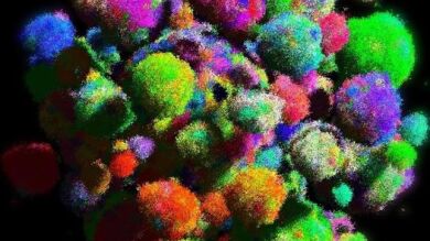 Un grupo de investigadores descubre por qué un cáncer de mama puede ser recurrente
