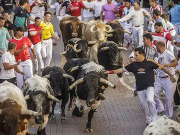 Imagen de uno de los encierros de San Fermín Imagen de uno de los encierros de San Fermín