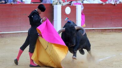 El torero José María Manzanares no estará en San Sebastián de los Reyes por una lumbalgia