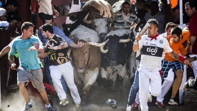 Una carrera limpia cierra los encierros de San Sebastián de los Reyes