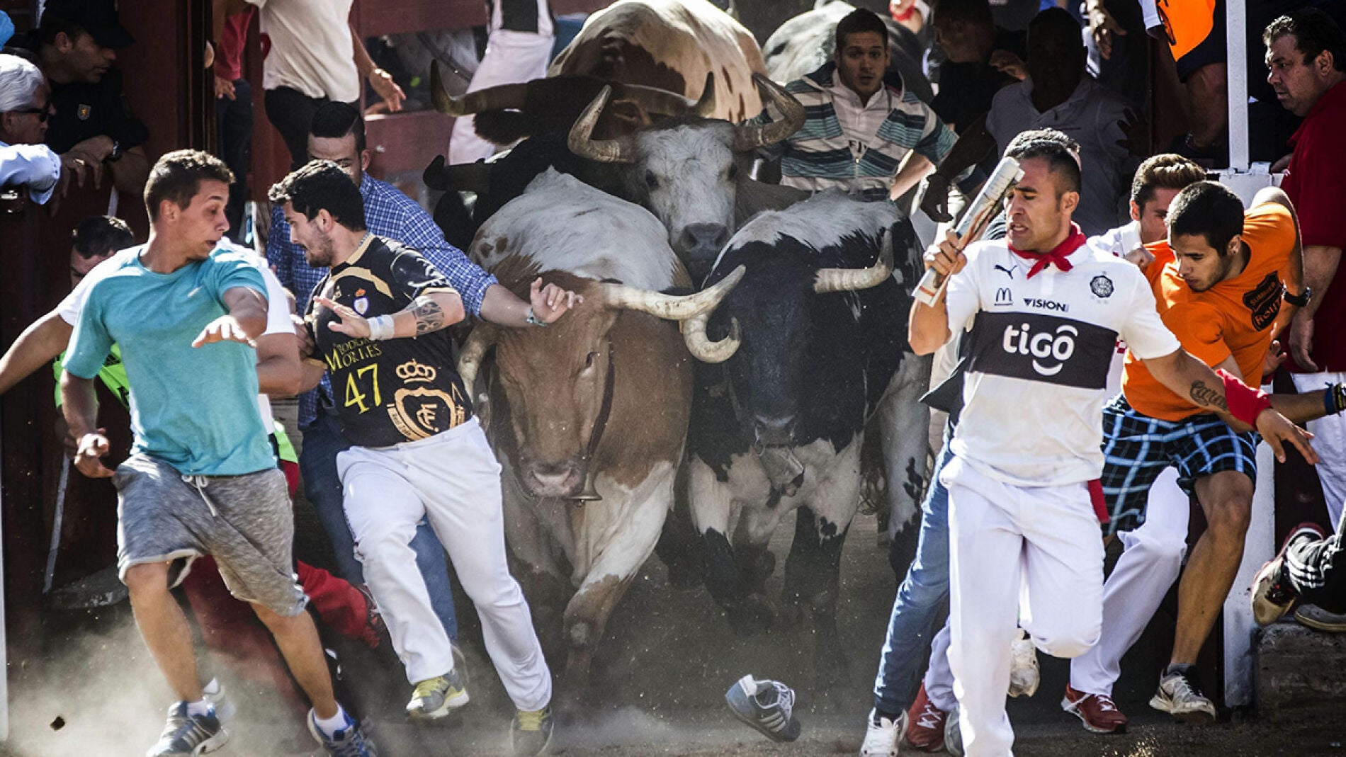 Salida de los toros de los corrales en el sexto y &uacute;ltimo encierro de las fiestas de San Sebasti&aacute;n de los Reyes