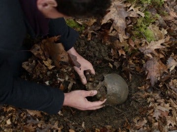 Henry halla los restos de Abigail