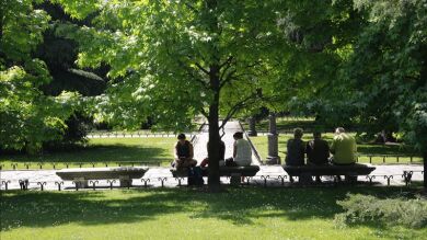 Carmena cerrará el Paseo del Prado al tráfico todos los domingos por la mañana
