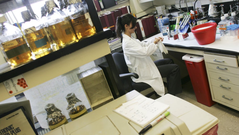 Centro de investigación
