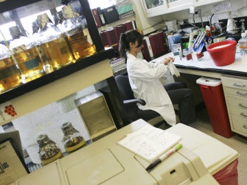 Centro de investigación Centro de investigación