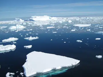 Icebergs flotando en el océano Antártico Icebergs flotando en el océano Antártico