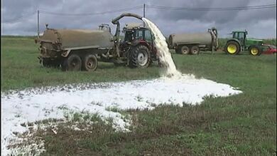 Ganaderos gallegos derraman 100.000 litros de leche en una finca
