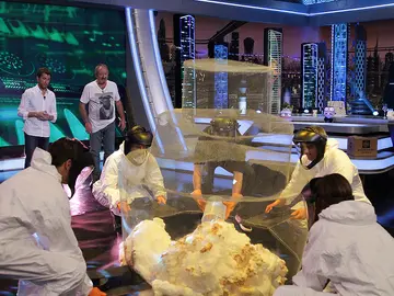 Trata de Cumpleaños para Trancas y Barrancas Trata de Cumpleaños para Trancas y Barrancas