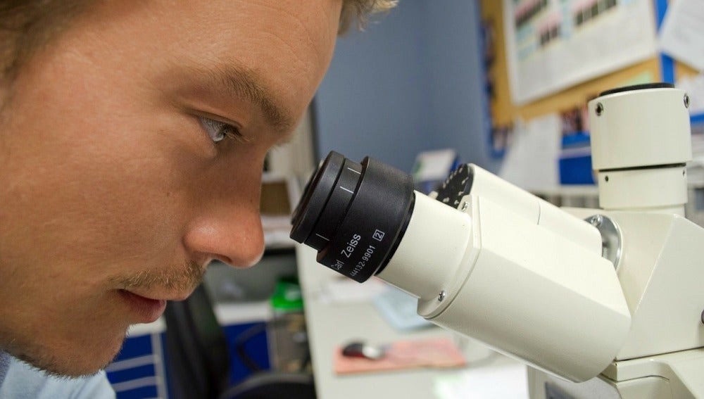 Un científico mira en un microscopio