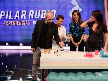 Pilar Rubio, Luis Tosar, Goya Toledo y Pablo Motos en El Hormiguero 3.0