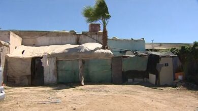 Unos 3.000 inmigrantes viven en asentamiento entre los invernaderos en Almería