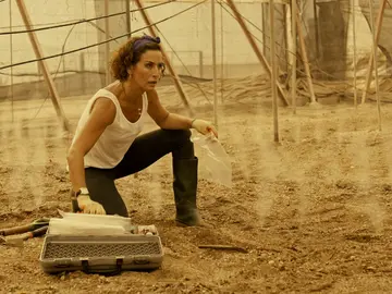 Marta será atacada en los invernaderos Marta será atacada en los invernaderos