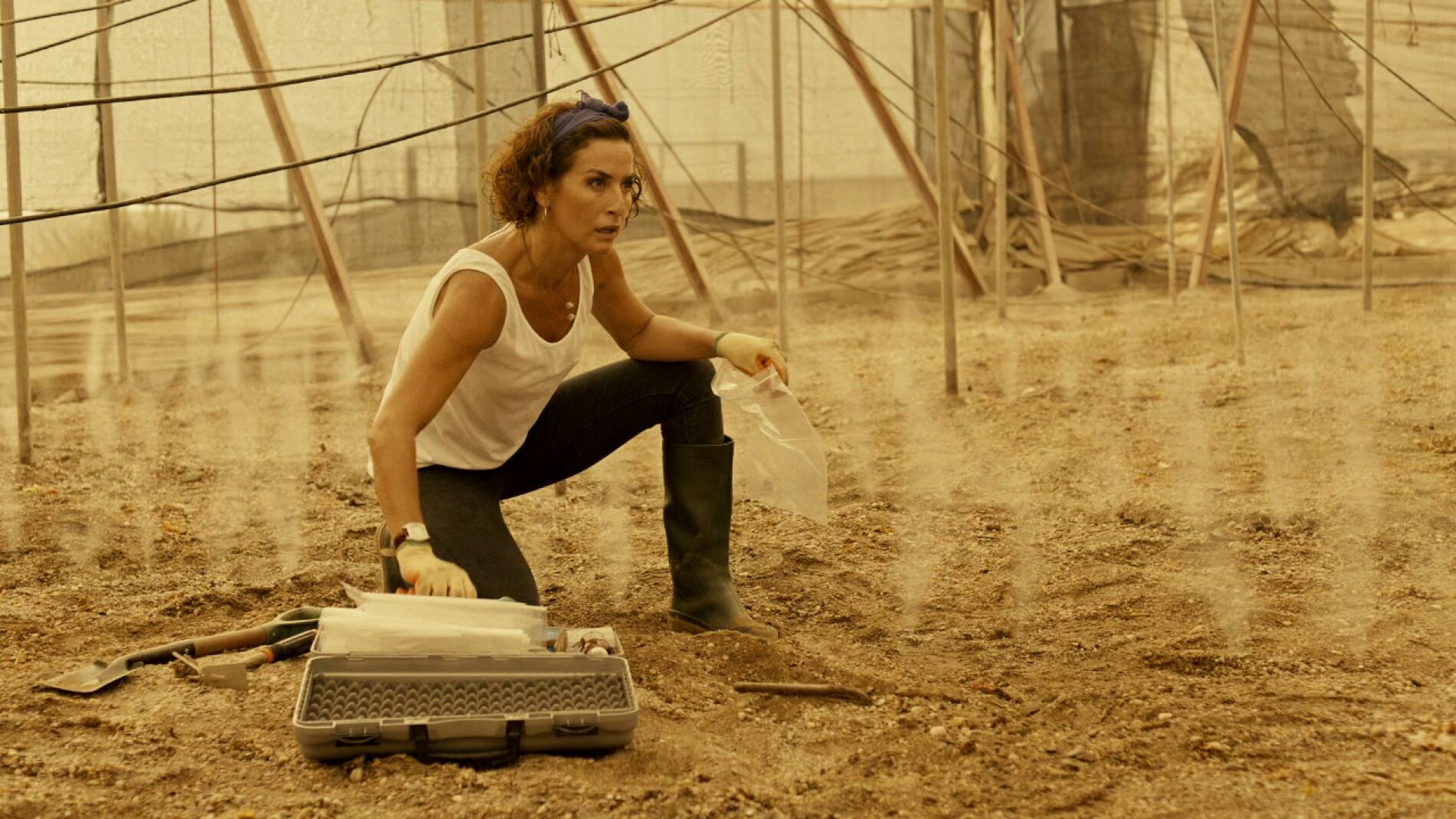 Marta ser&aacute; atacada en los invernaderos