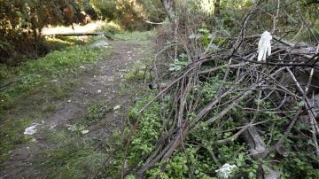 Zona del hallazgo