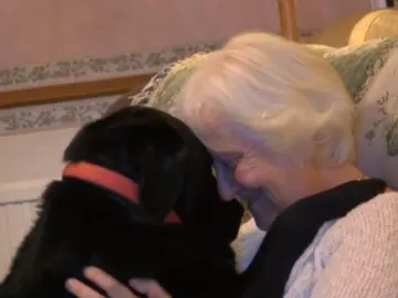 Karin Gibson junto a Paddy, su labrador Karin Gibson junto a Paddy, su labrador