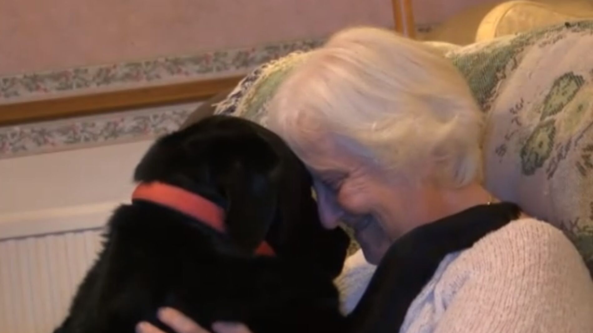 Karin Gibson junto a Paddy, su labrador