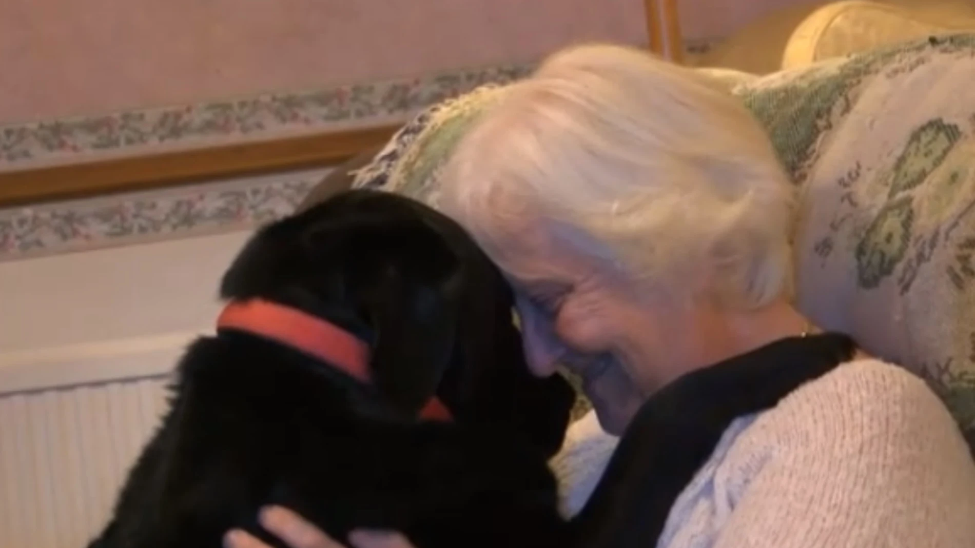 Karin Gibson junto a Paddy, su labrador Karin Gibson junto a Paddy, su labrador