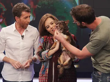 Soraya Sáez de Santamaría, Pablo Motos y Dani Rovira en El Hormiguero 3.0 Soraya Sáez de Santamaría, Pablo Motos y Dani Rovira en El Hormiguero 3.0