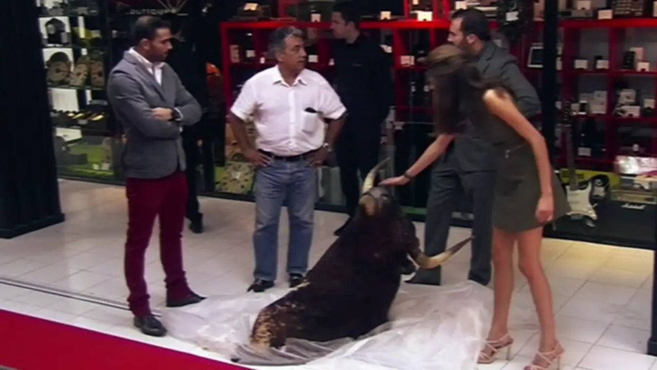Ignacio y Álvaro compran una cabeza de toro disecada