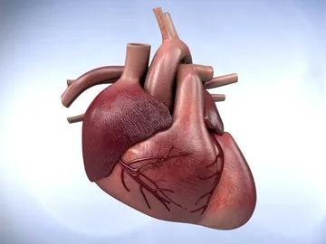 Corazón Corazón