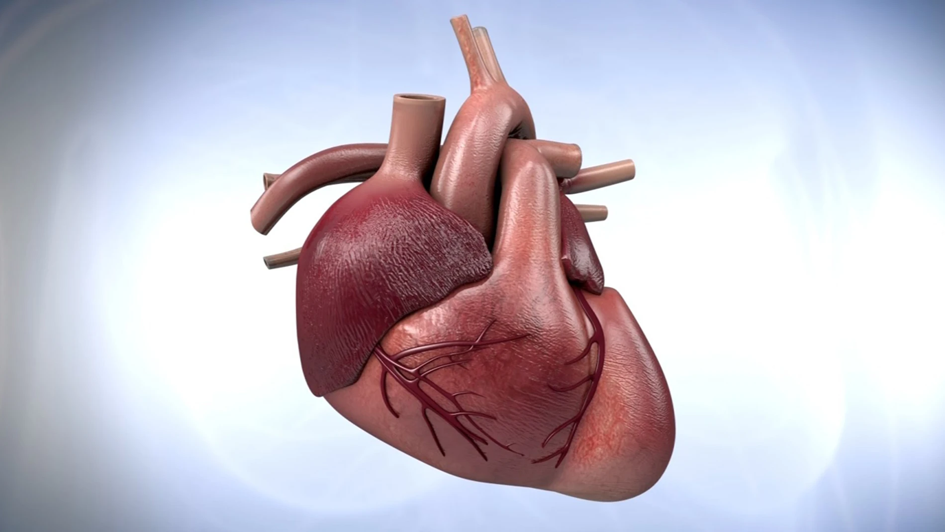 Corazón Corazón