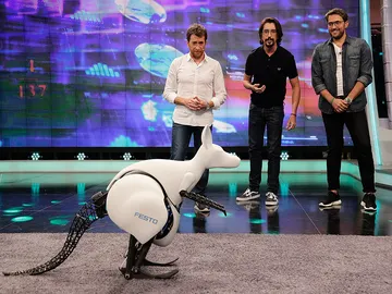 Canguro Biónico en El Hormiguero 3.0 Canguro Biónico en El Hormiguero 3.0