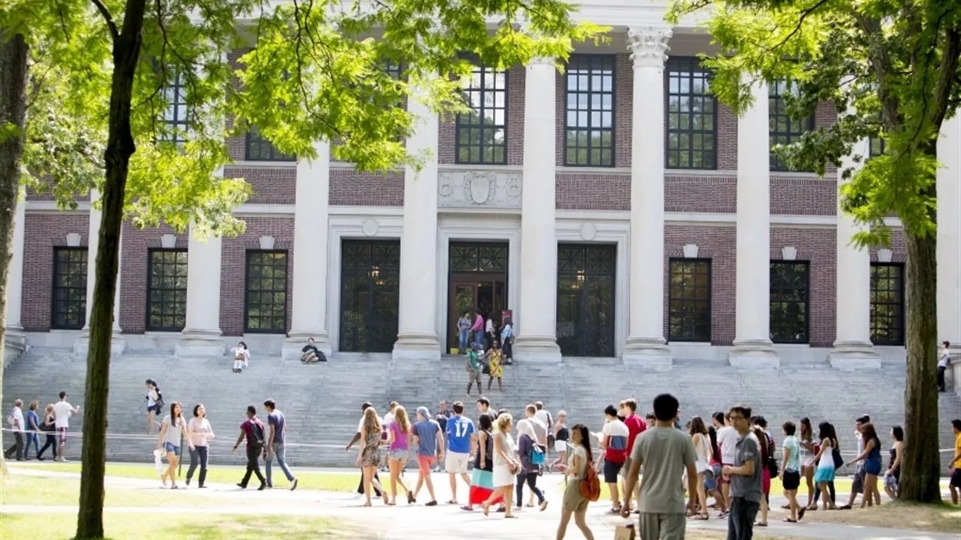 Universidad de Harvard Universidad de Harvard