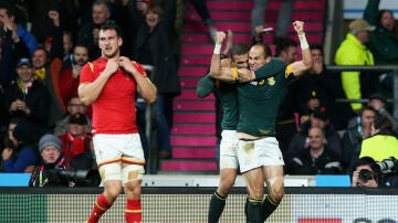 Fourie Du Preez celebra su decisivo ensayo ante el gales Warbuton