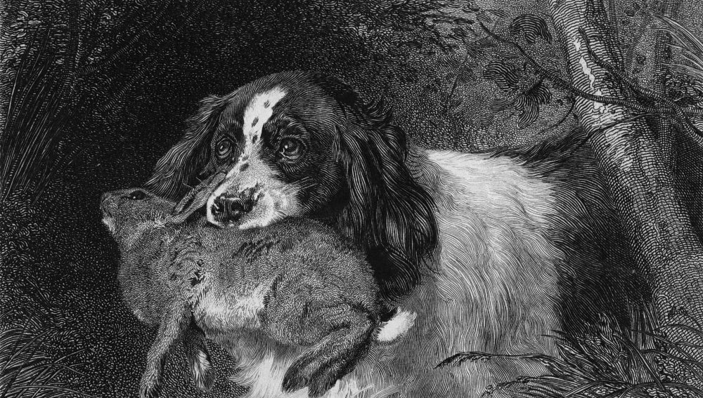 Los perros, ayudantes de los hombres