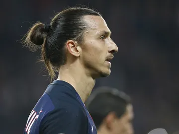 Ibrahimovic Ibrahimovic