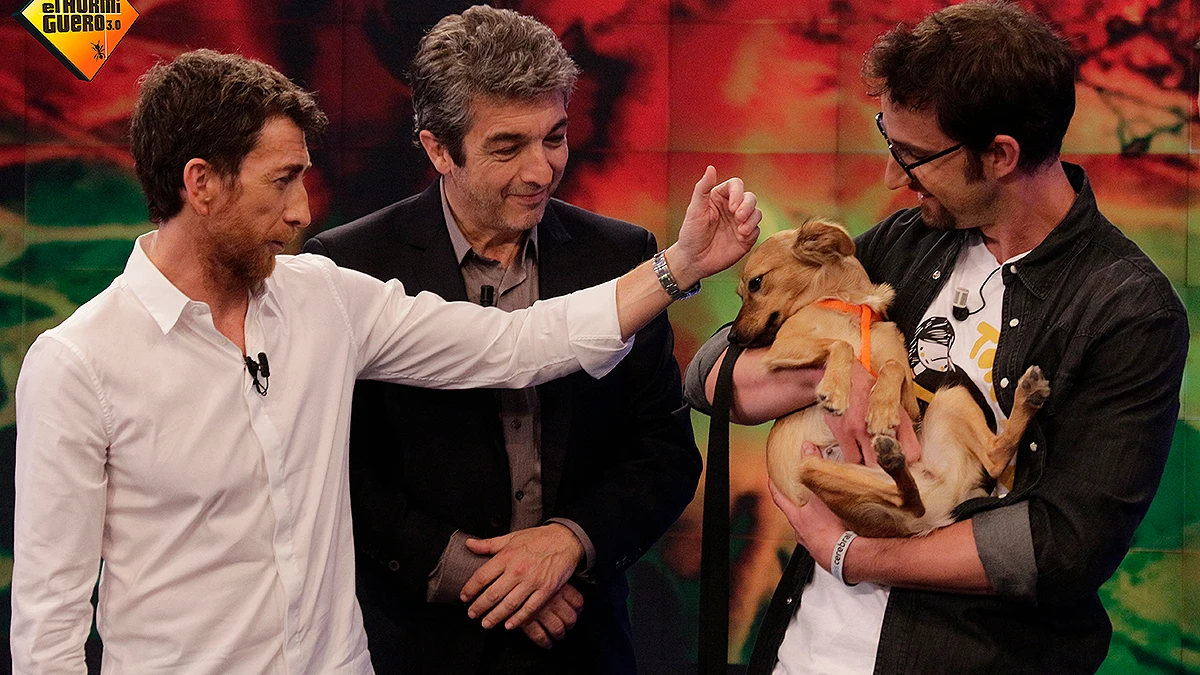Amores perros