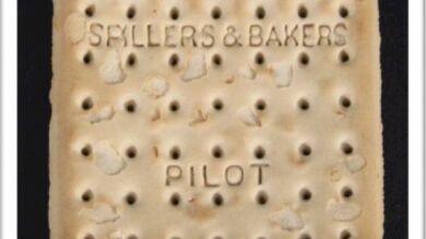 Una galleta de un bote salvavidas del Titanic se subasta por más de 20.000 euros