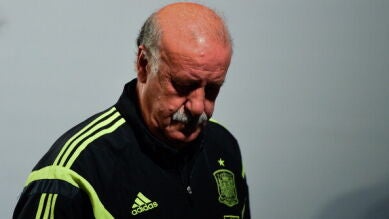 Del Bosque insinúa que dejará la selección