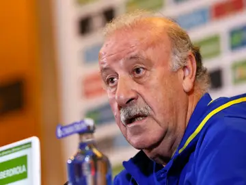Del Bosque Del Bosque