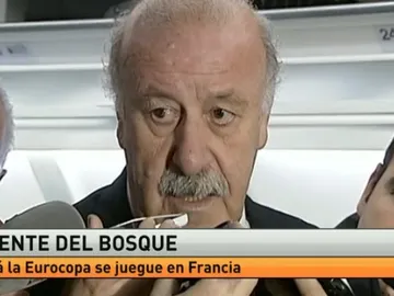 Del Bosque, en el avión de vuelta desde Bruselas Del Bosque, en el avión de vuelta desde Bruselas