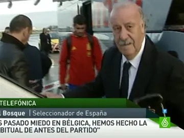 Del Bosque, en el aeropuerto de Bruselas Del Bosque, en el aeropuerto de Bruselas