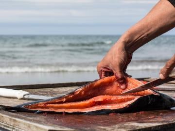 Salmón recién pescado