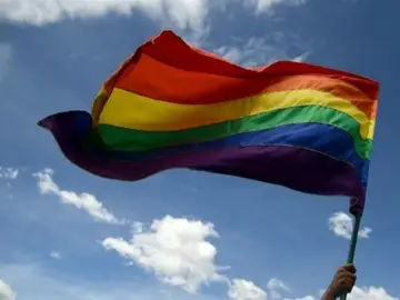 Bandera del colectivo homosexual Bandera del colectivo homosexual