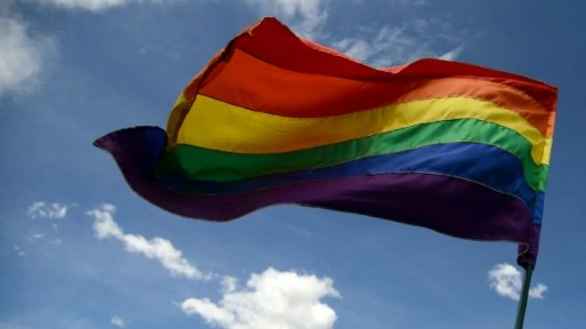 Bandera del colectivo homosexual Bandera del colectivo homosexual
